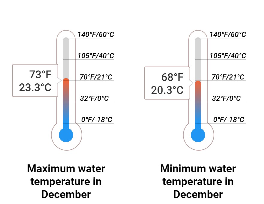 Average Sea temperature